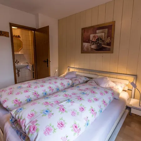 Apartment Westendorf * 韦斯滕多夫